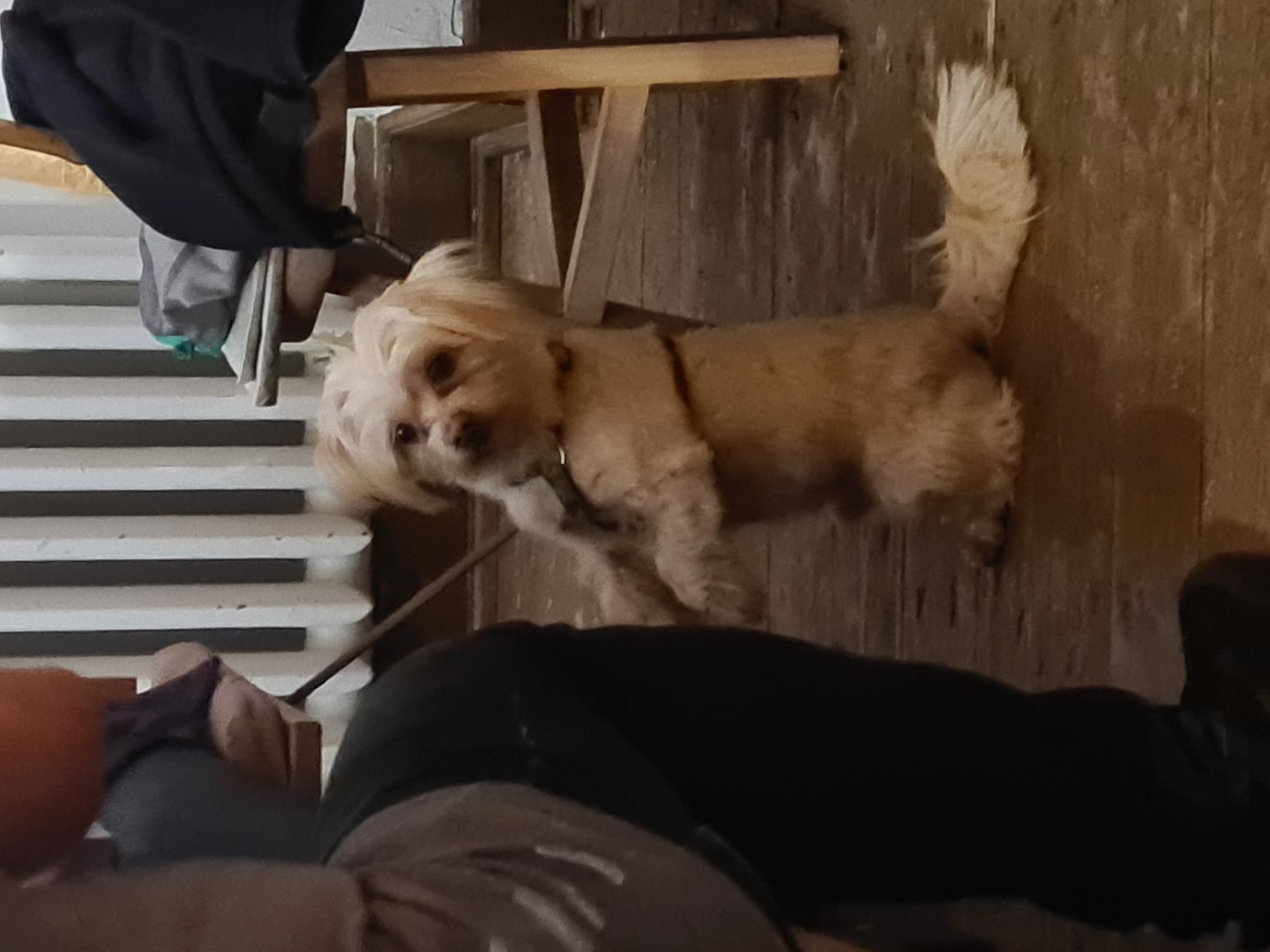 Buchenau_2022 (58).jpg